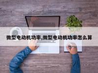 微型电动机功率,微型电动机功率怎么算