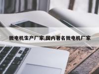 微电机生产厂家,国内著名微电机厂家