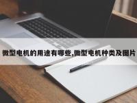 微型电机的用途有哪些,微型电机种类及图片