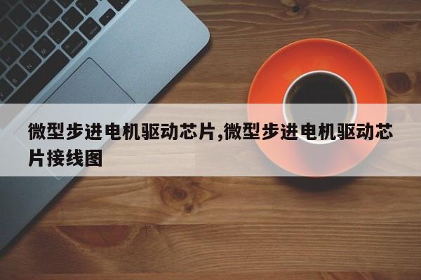 微型步进电机驱动芯片,微型步进电机驱动芯片接线图